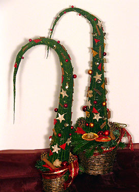 Borban a vigass&aacute;g - Finom v&ouml;r&ouml;sbor, eleg&aacute;ns d&iacute;szdobozban, kar&aacute;csonyias vir&aacute;gos d&iacute;sz&iacute;t&eacute;ssel