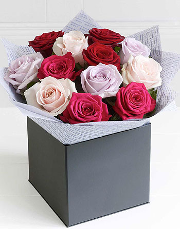 A világ legszebb rózsái Valentin napra