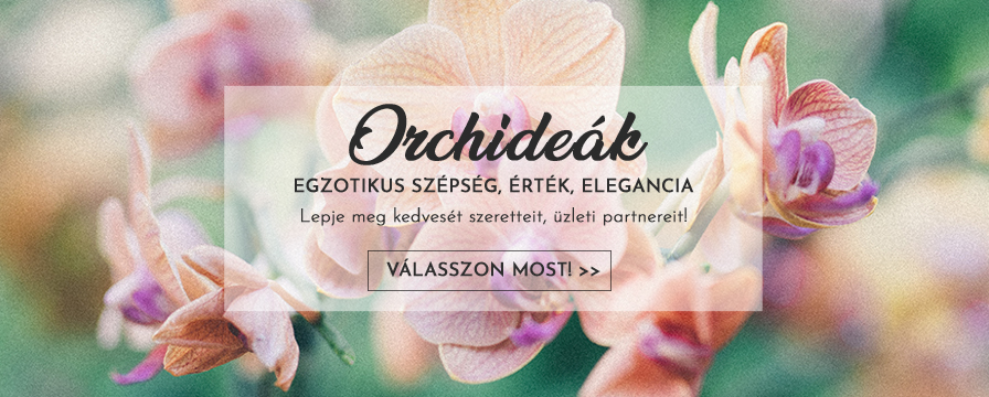 Virágposta, virágküldés, orchidea küldés a szépség és elegancia választása
