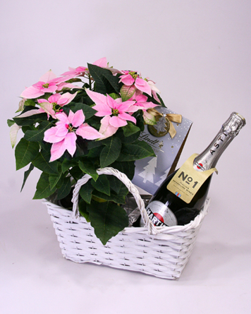 Virágposta - Rózsaszín Mikulásvirág Martini pezsgővel