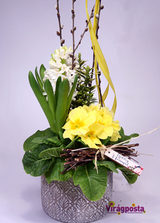 Virágposta - Tavaszi összeültetés kőtálban primulával és jácinttal