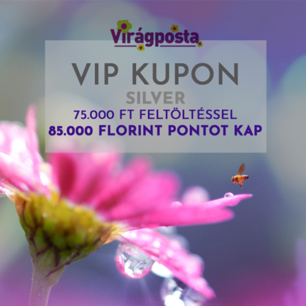 Virágposta - VIP KUPON - Silver