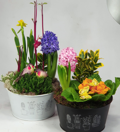 Virágposta - Hello Tavasz! 2023 - Virágzó összeültetés modern fémtálban