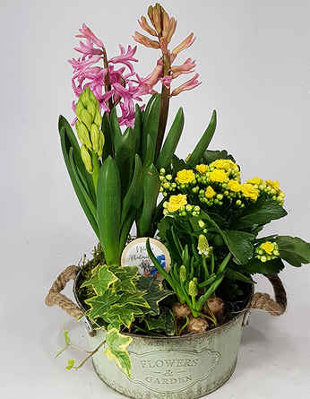 Virágposta - Tavaszi összeültetés - Flowers and Garden tálban