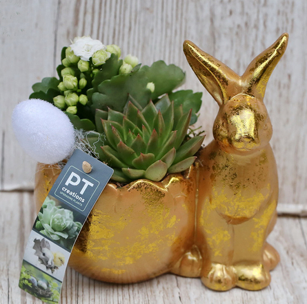 Virágposta - Arany nyuszikám!