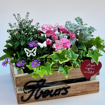 Virágposta - Anya kertje 2026