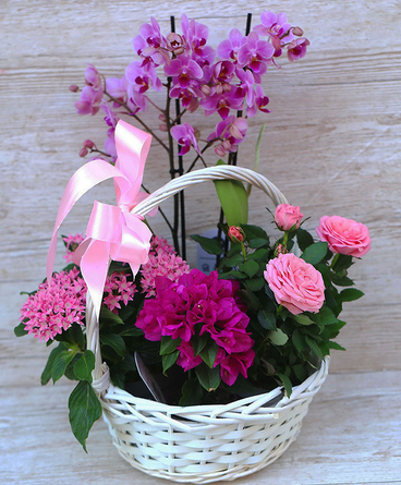 Virágposta - Nagy rózsaszín májuskosár orchideával