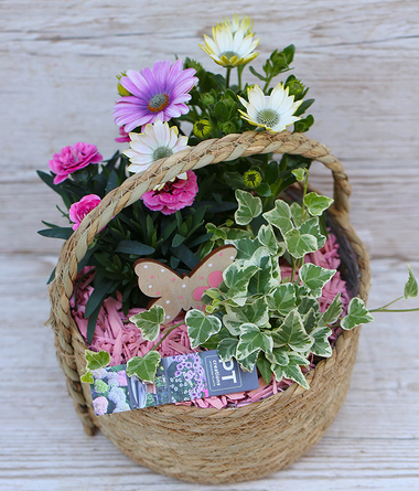 Virágposta - Májuskosár rózsaszín virágokkal