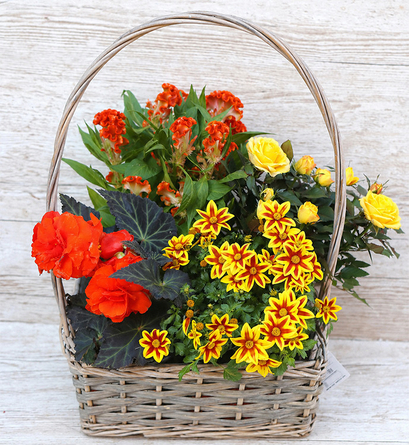 Virágposta - Májuskosár sárgás, narancsos virágokkal