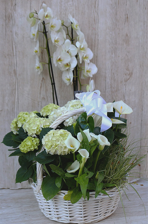 Virágposta - Óriás habos májuskosár