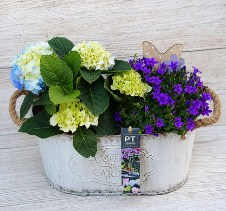 Virágposta - Májuskosár hortenziával és lila virágokkal