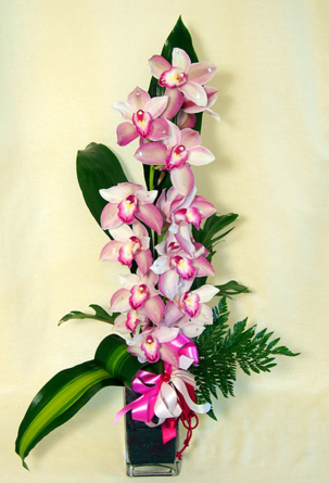 Virágposta - Orchidea ág Swarovskival