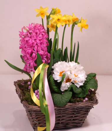 Virágposta - A tavasz kertje