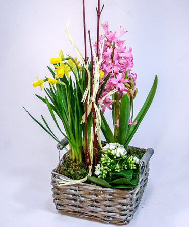 Virágposta - A tavasz üzenete - virágösszeültetés négyszögletes kosárban